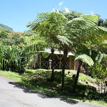 Natty Tropical Valley Розо Екстер'єр фото
